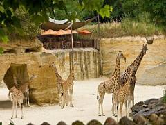 149 BIO PARC DE DOUE LA FONTAINE 2- 2016_000014